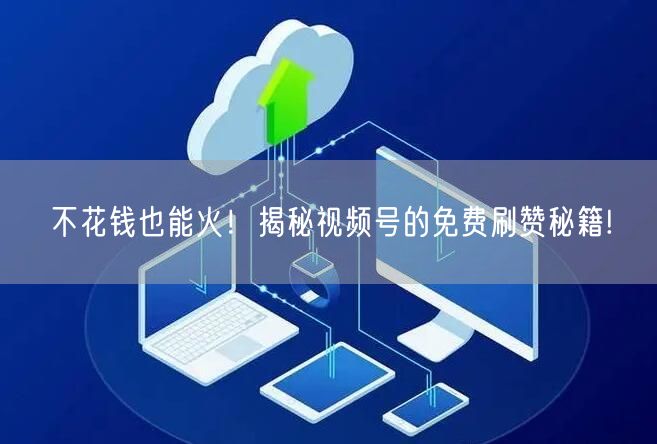 不花钱也能火！揭秘视频号的免费刷赞秘籍!