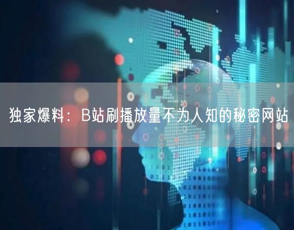 独家爆料：B站刷播放量不为人知的秘密网站