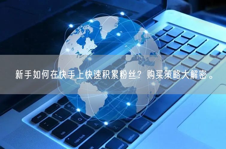 新手如何在快手上快速积累粉丝？购买策略大解密。
