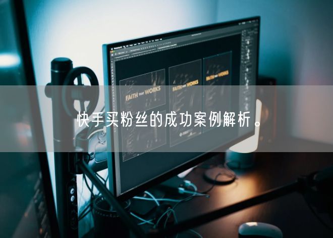 快手买粉丝的成功案例解析。